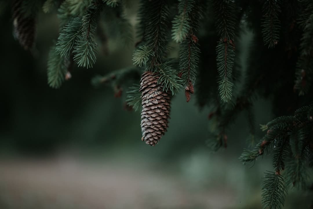 https://static.ws.126.net/163/frontend/images/2022/empty.png